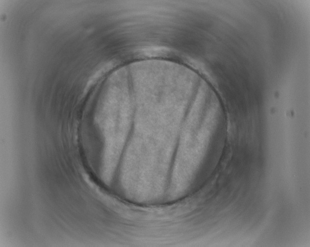 X0000070420010200606302113