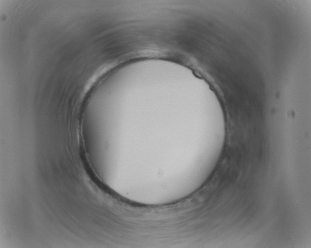 X0000070420011200606302113