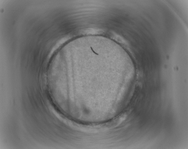 X0000070420012200606302113