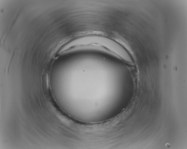 X0000070420013200606302112