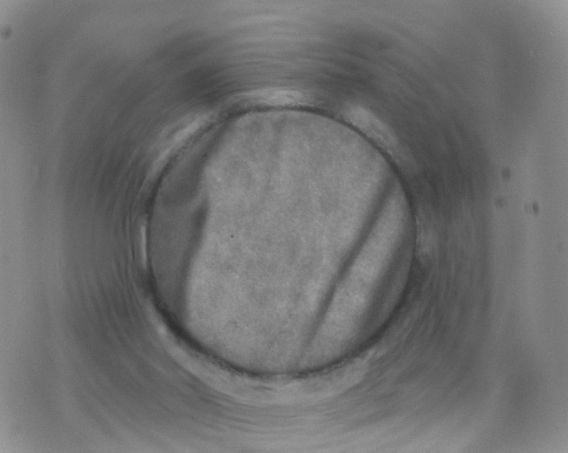 X0000070420014200606302112