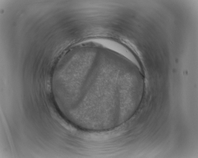 X0000070420017200606302112