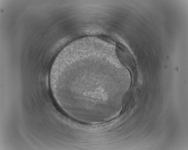 X0000070420019200606302112