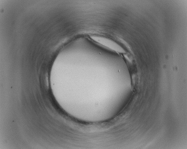 X0000070420020200606302112