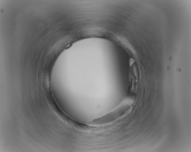 X0000070420021200606302112