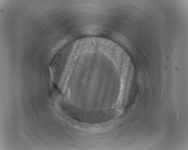 X0000070420023200606302112