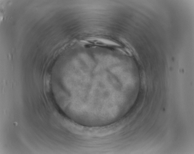 X0000070420026200606302112