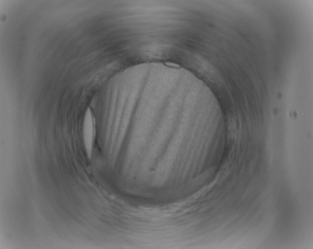 X0000070420029200606302112