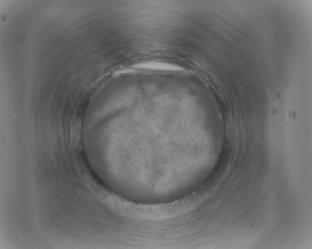 X0000070420030200606302112