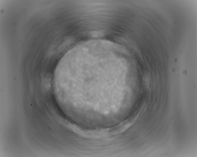 X0000070420032200606302112