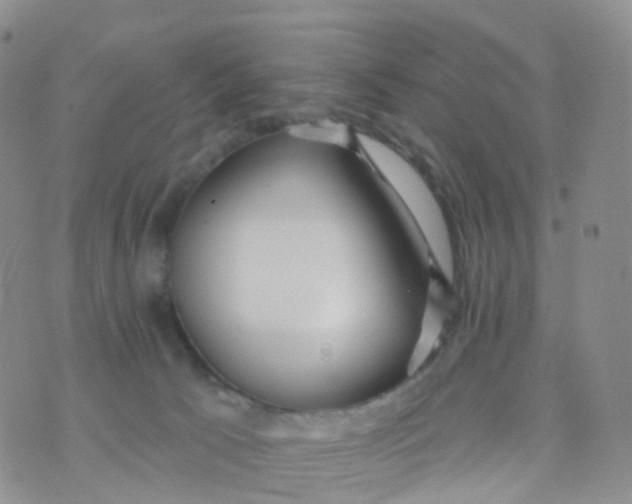 X0000070420033200606302112