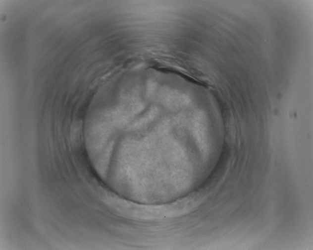 X0000070420034200606302112