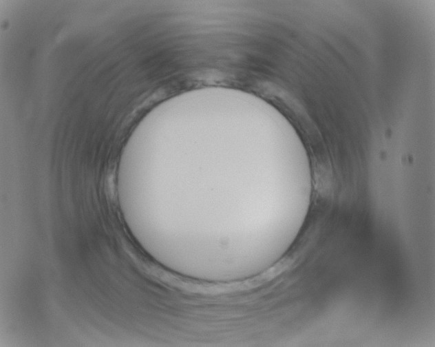 X0000070420036200606302112