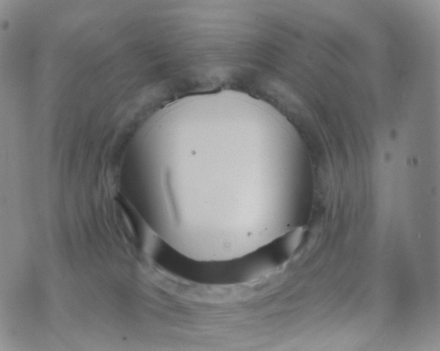 X0000070420037200606302112