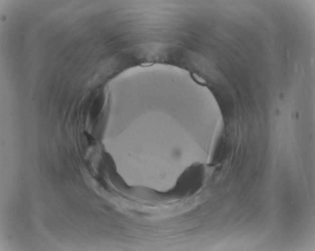 X0000070420039200606302112