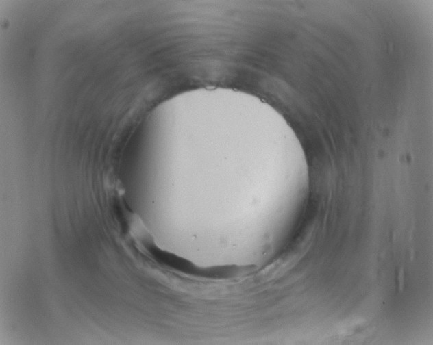 X0000070420040200606302112