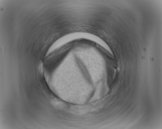 X0000070420041200606302112