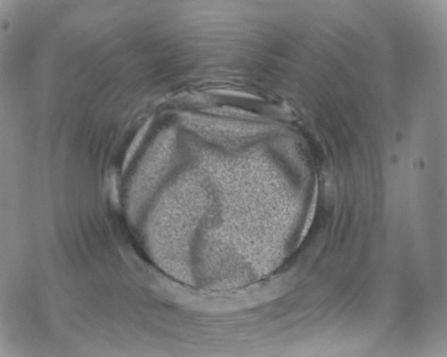 X0000070420042200606302112