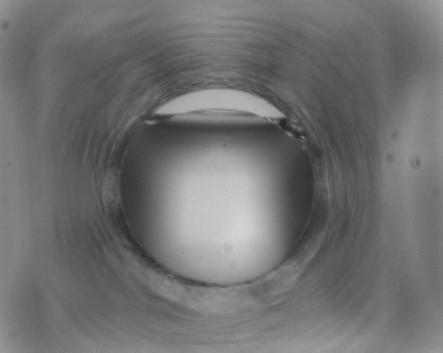 X0000070420044200606302112