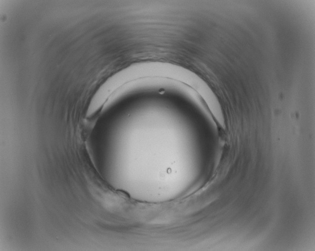 X0000070420045200606302112