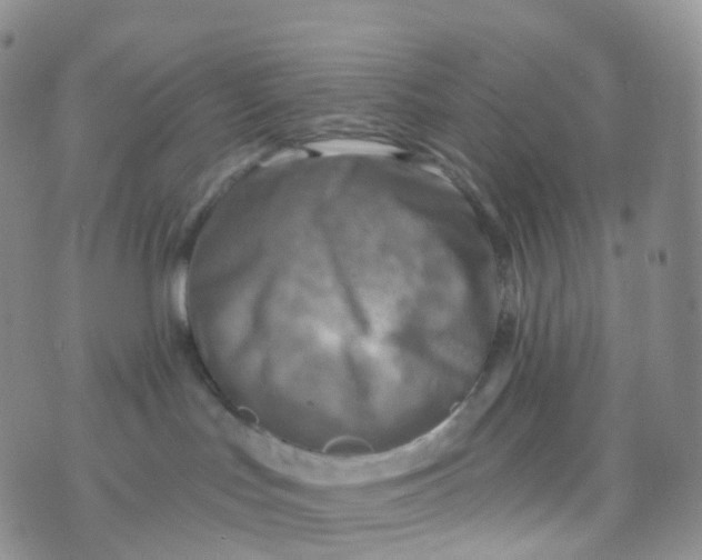 X0000070420047200606302112