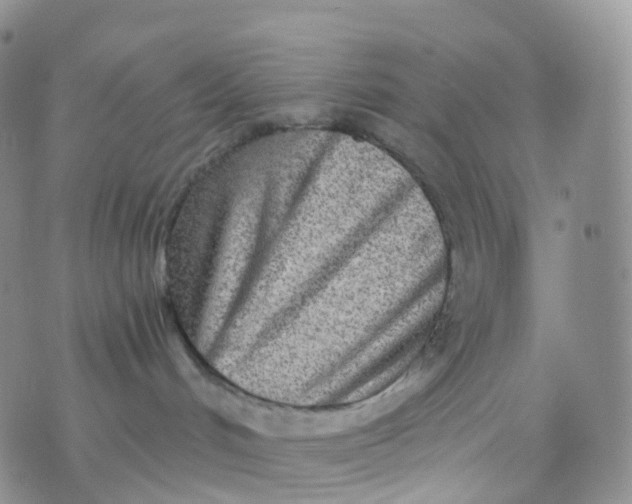 X0000070420048200606302112