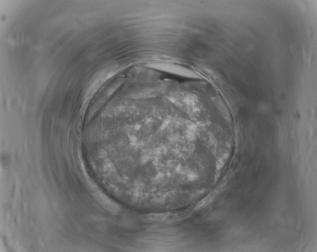 X0000070420049200606302111