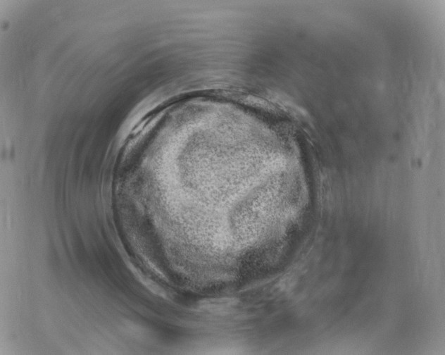 X0000070420051200606302111