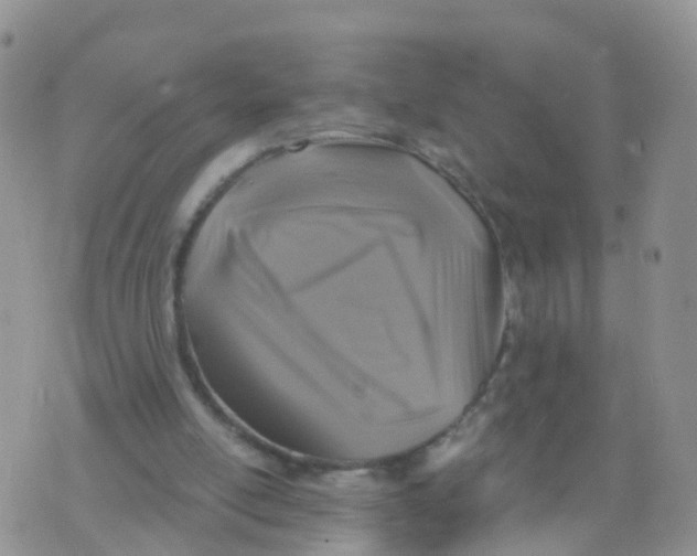 X0000070420054200606302111