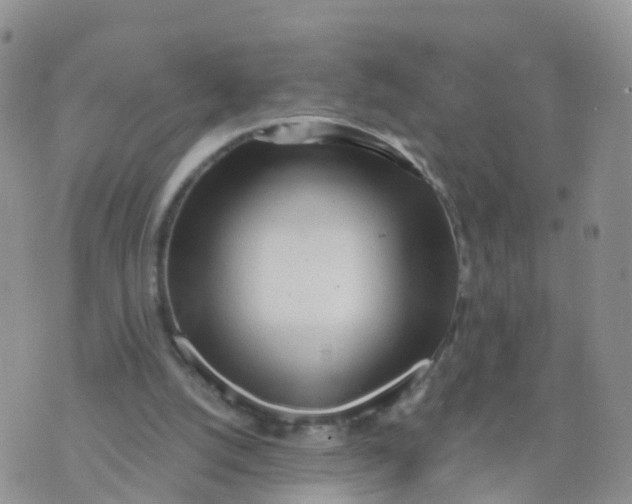 X0000070420056200606302111