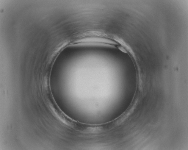 X0000070420057200606302111