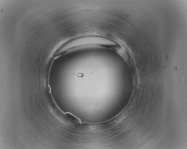 X0000070420060200606302111