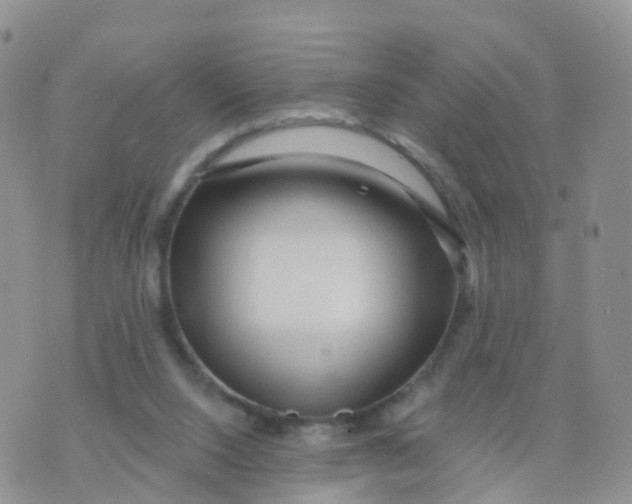 X0000070420064200606302111