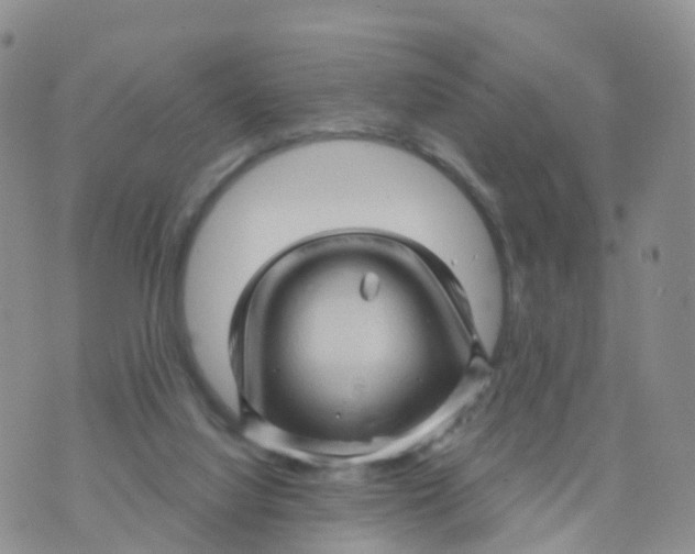 X0000070420068200606302111