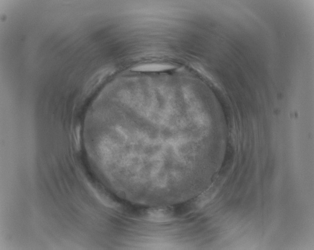 X0000070420070200606302111