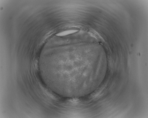 X0000070420071200606302111