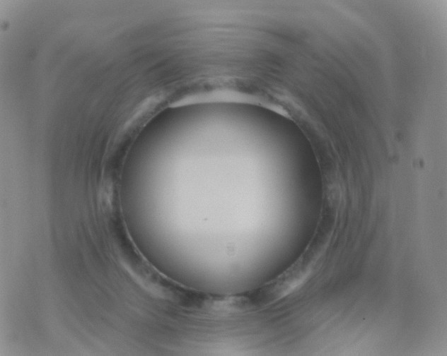 X0000070420072200606302112