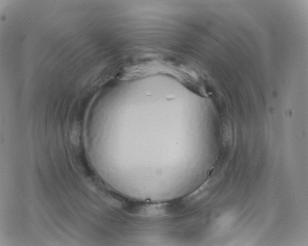 X0000070420078200606302112