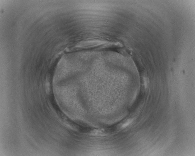 X0000070420080200606302112