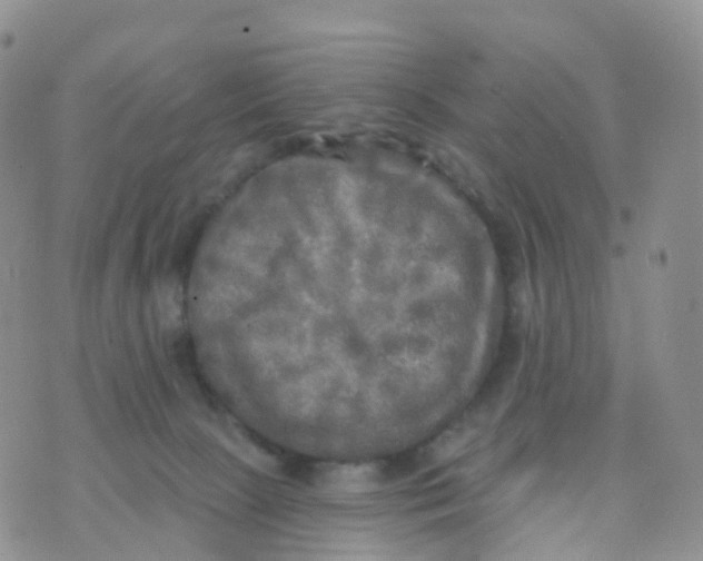 X0000070420081200606302112