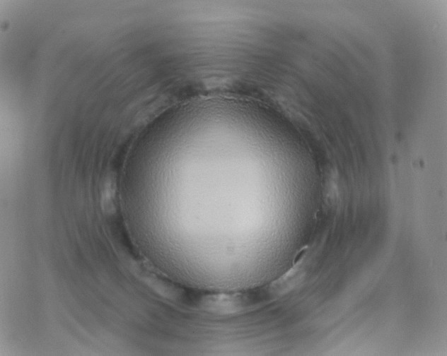 X0000070420082200606302112