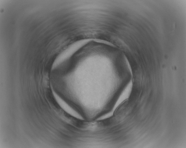 X0000070420083200606302112