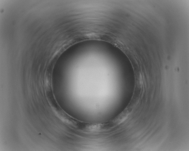 X0000070420084200606302112