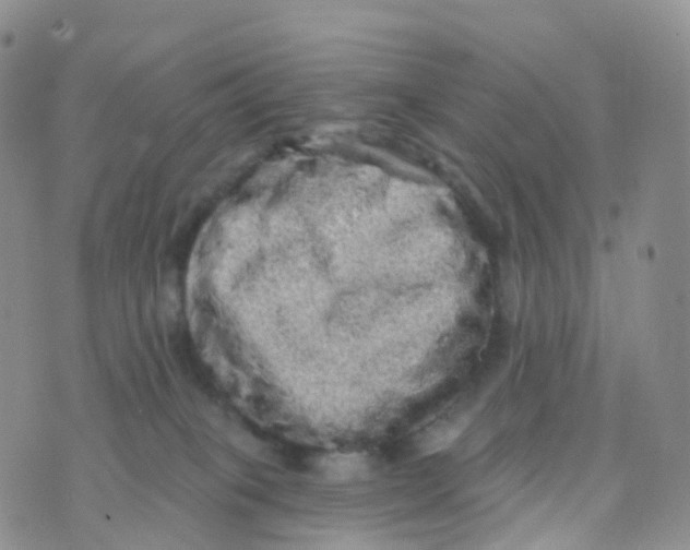 X0000070420085200606302112