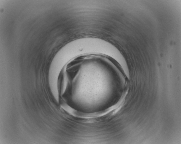 X0000070420086200606302112