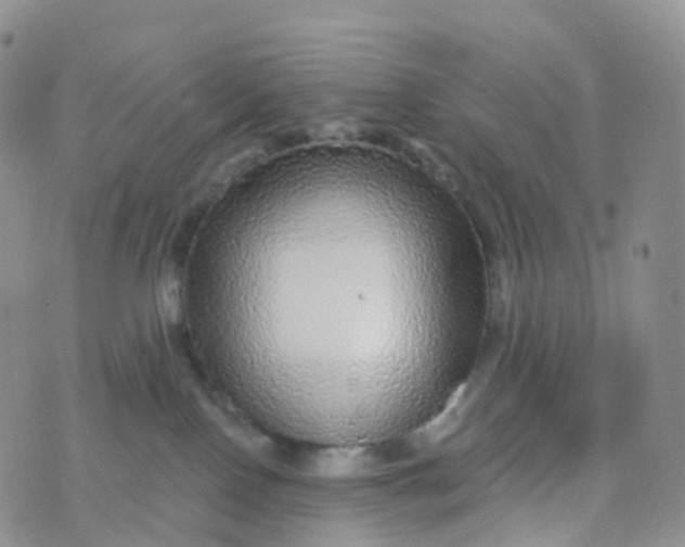 X0000070420090200606302112