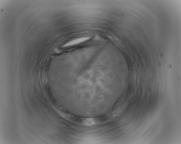 X0000070420091200606302112