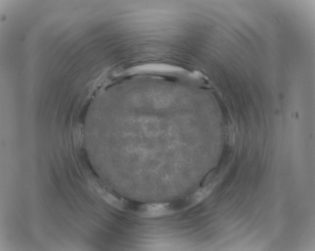 X0000070420093200606302112