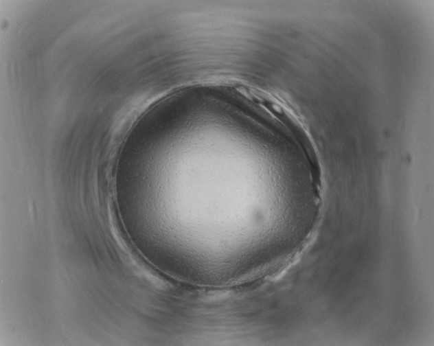 X0000070420097200606302111