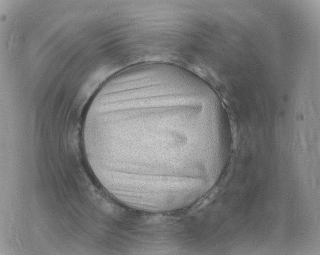 X0000070420098200606302111